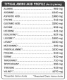 RAW Protein & Greens Organic - lehce slazený 650g